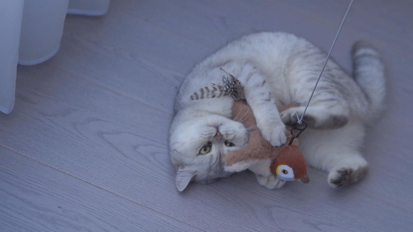 Flap & Chirp Pet Companion