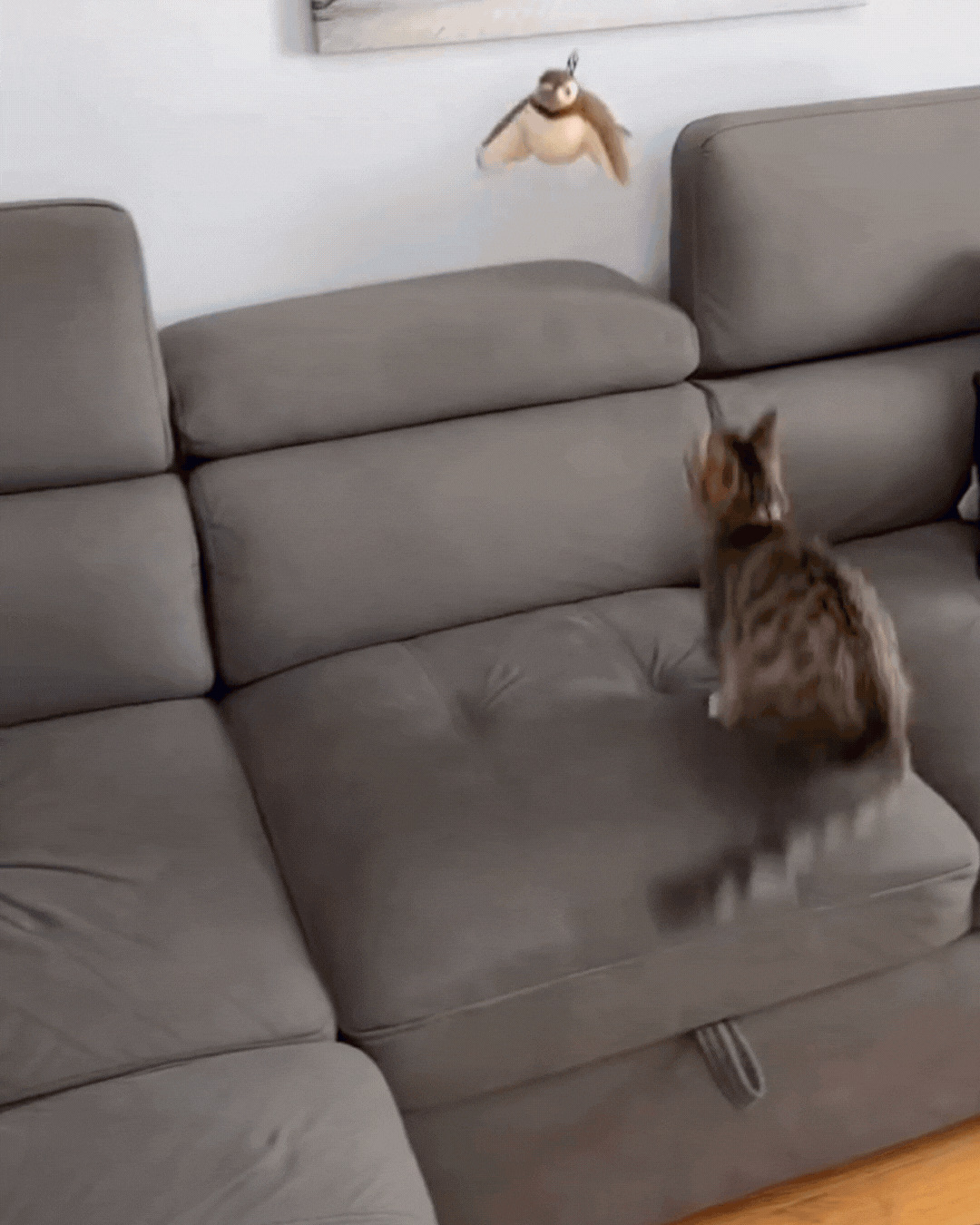Flap & Chirp Pet Companion